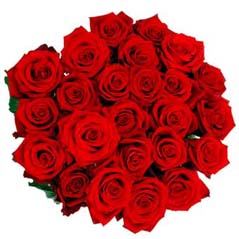 100 Red Roses