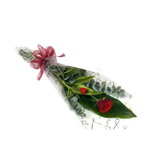 Singlerose.webp
