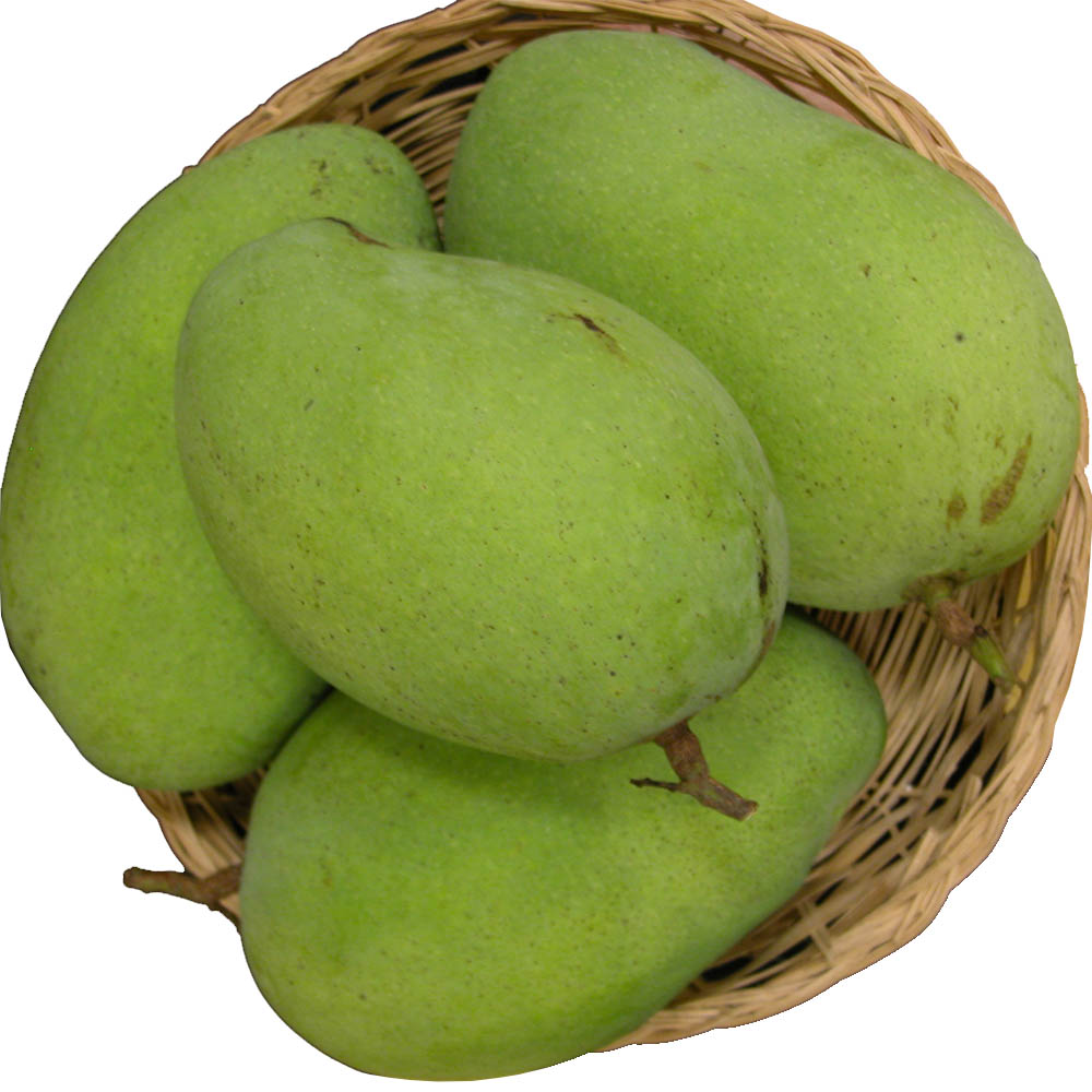 Langra Mango (5 KG)