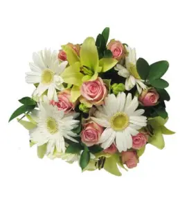 Bueatiful-fantacy.webp
