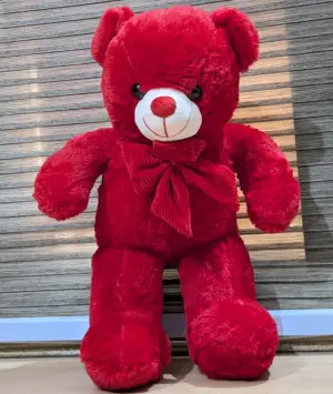 Long Foot Red Teddy Bear