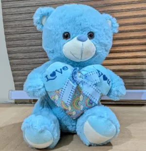 The Boy Bear