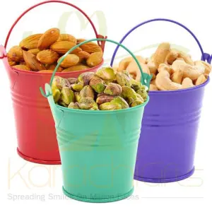 Triple Dry Fruit Treat