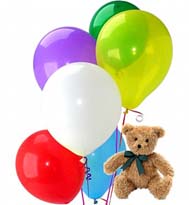 6 Balloons with 6 inches teddy bear